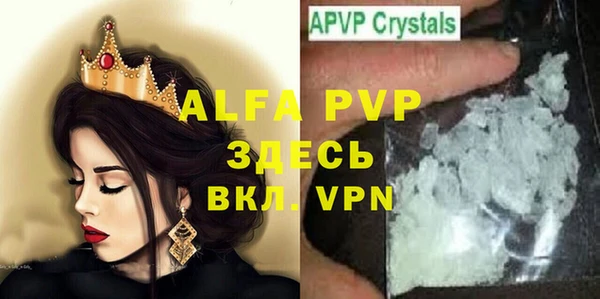 стаф Аркадак