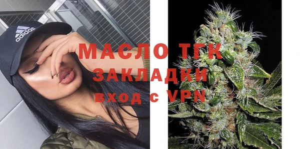 стаф Аркадак