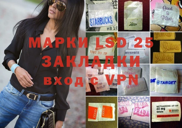 стаф Аркадак