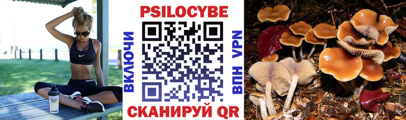 Псилоцибиновые грибы Magic Shrooms  Тырныауз 